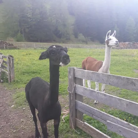 Thumeserhof * Schmirn