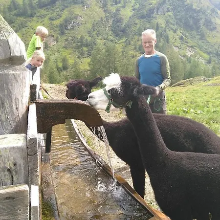 Thumeserhof Apartment Schmirn
