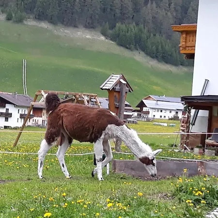 Apartment Thumeserhof