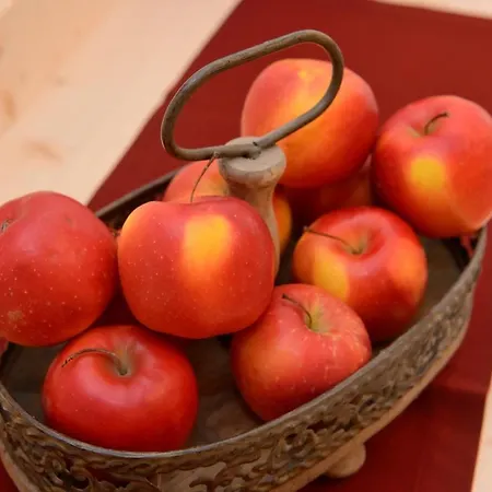 Thumeserhof Apartment Schmirn