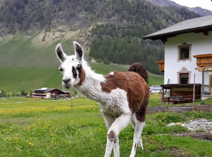 Thumeserhof Appartamento