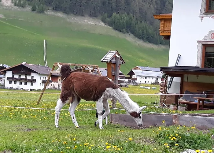 Appartamento Thumeserhof