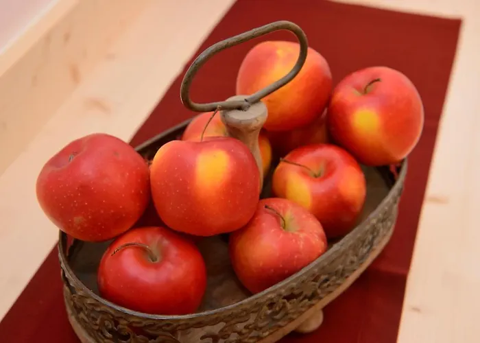 Thumeserhof 公寓 Schmirn