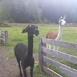 Thumeserhof * Schmirn