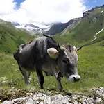 Lägenhet Thumeserhof