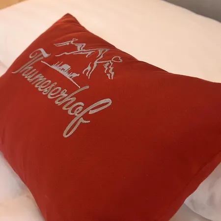 Appartement Thumeserhof